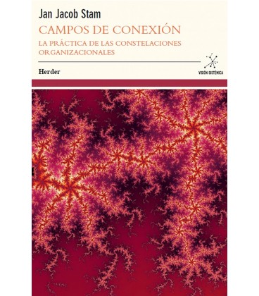CAMPOS DE CONEXION