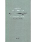CAMINO DE CAMPO