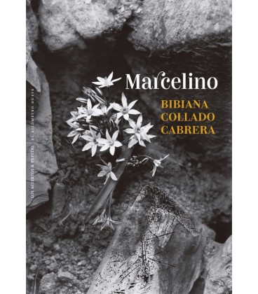 MARCELINO