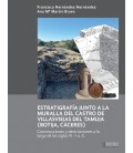 ESTRATIGRAFIA JUNTO A LA MURALLA DEL CASTRO DE VILLASVIEJAS DEL TAMUJA