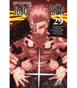 JUJUTSU KAISEN 29
