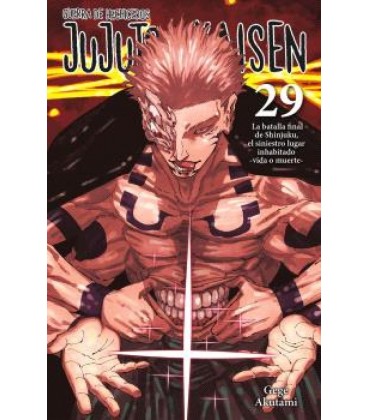 JUJUTSU KAISEN 29