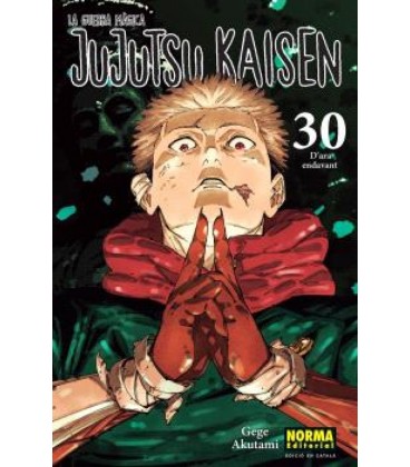 JUJUTSU KAISEN 30 CATALA