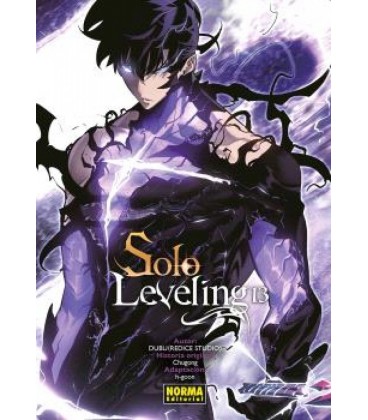 SOLO LEVELING 13