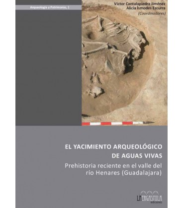 EL YACIMIENTO ARQUEOLOGICO DE AGUAS VIVAS
