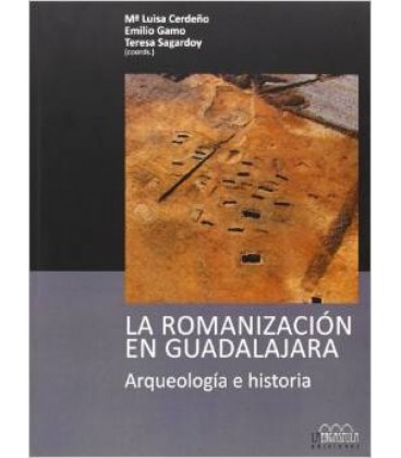 LA ROMANIZACION EN GUADALAJARA