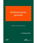 DELINCUENCIA JUVENIL