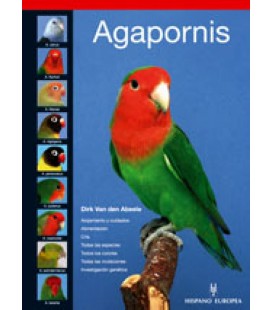 AGAPORNIS