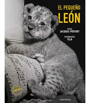 EL PEQUENO LEON
