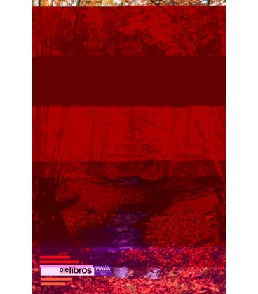 CICATRICES DE TINTA
