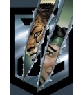 CHEETAH Y CHESHIRE ROBAN A LA LIGA DE LA JUSTICIA