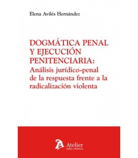 DOGMATICA PENAL Y EJECUCION PENITENCIARIA: ANALISIS JURIDICO-PENAL DE