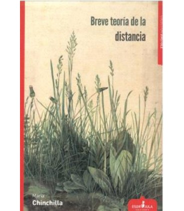 BREVE TEORIA DE LA DISTANCIA