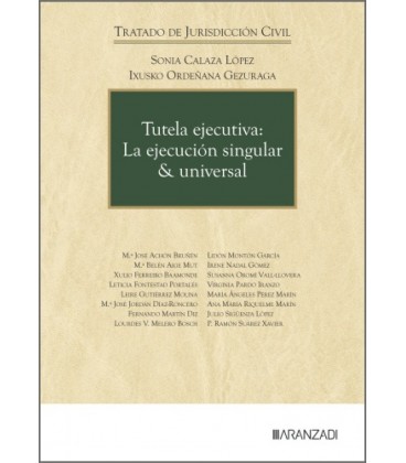 TUTELA EJECUTIVA: LA EJECUCION SINGULAR & UNIVERSAL