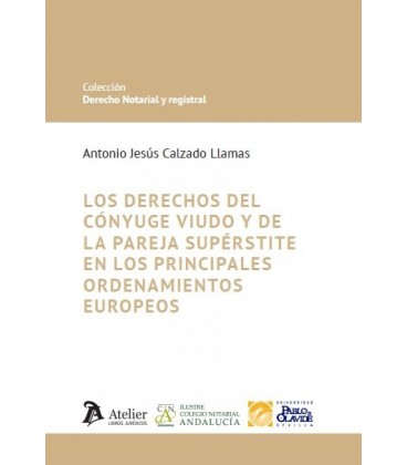 LOS DERECHOS DEL CONYUGE VIUDO Y DE LA PAREJA SUPERSTITE EN LOS