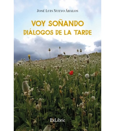 VOY SONANDO DIALOGOS DE LA TARDE