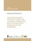LOS DERECHOS DEL CONYUGE VIUDO Y DE LA PAREJA SUPERSTITE EN LOS