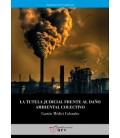 LA TUTELA JUDICIAL FRENTE AL DANO AMBIENTAL COLECTIVO