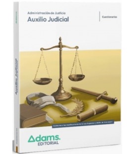 CUESTIONARIOS AUXILIO JUDICIAL