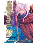 D.GRAY MAN 29 (COMIC)