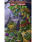 TEENAGE MUTANT NINJA TURTLES : LAS AVENTURAS ANIMADAS - VOL.03