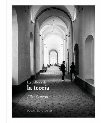 LA BELLEZA DE LA TEORIA