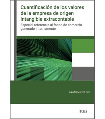 CUANTIFICACION DE LOS VALORES DE LA EMPRESA DE ORIGEN INTANGIBLE EXTRA