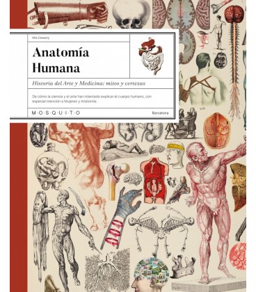 ANATOMIA HUMANA