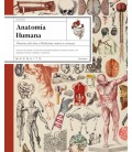 ANATOMIA HUMANA