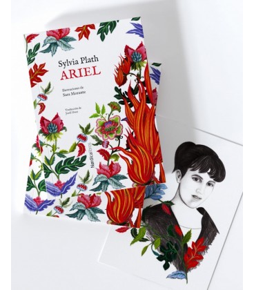ED. ESPECIAL ARIEL