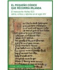 EL PEQUENO CODICE QUE RECORRIA IRLANDA