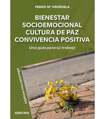 BIENESTAR SOCIOEMOCIONAL
