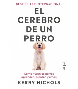 CEREBRO DE UN PERRO
