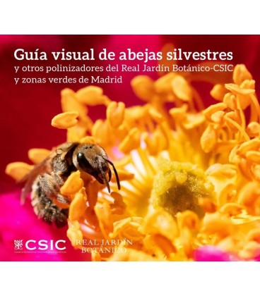 GUIA VISUAL DE ABEJAS SILVESTRES Y OTROS POLINIZADORES DEL REAL JARDIN
