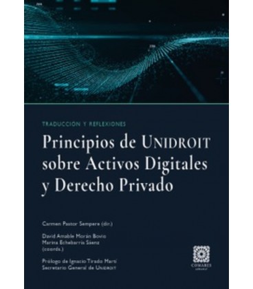 PRINCIPIOS DE UNIDROIT SOBRE LOS ACTIVOS DIGITALES Y DERECHO PRIVADO