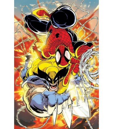 SPIDERMAN Y LOBEZNO 02