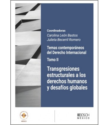 TRANSGRESIONES ESTRUCTURALES A LOS DERECHOS HUMANOS Y DESAFIOS GLOBALE