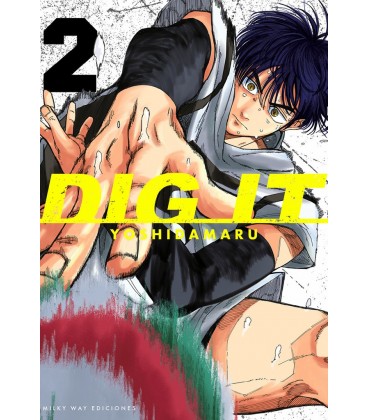 DIG IT VOL 2