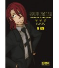 SOUL EATER PERFECT EDITION 10