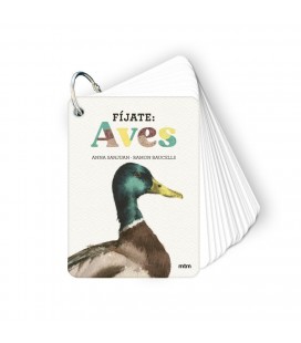 FIJATE: AVES