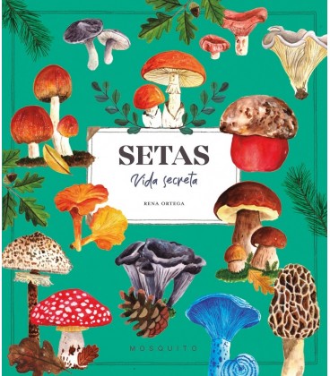 SETAS VIDA SECRETA