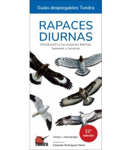 RAPACES DIURNAS INTRODUCCION A LAS ESPECIES IBERICAS BALEARES Y CANARI