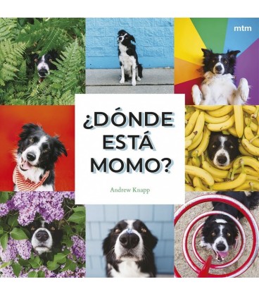 DONDE ESTA MOMO