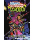 HISTORIAS DE LAS TEENAGE MUTANT NINJA TURTLES: UN VERANO MUY MECHAZOID
