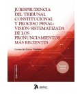 JURISPRUDENCIA DEL TRIBUNAL CONSTITUCIONAL Y PROCESO PENAL VISION SIST