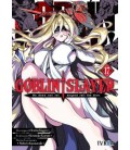 GOBLIN SLAYER 17