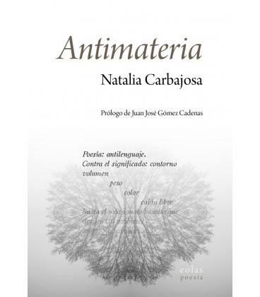 ANTIMATERIA