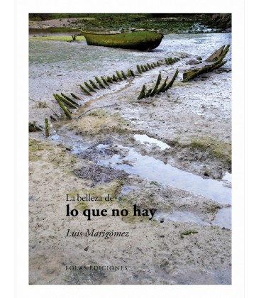 LA BELLEZA DE LO QUE NO HAY