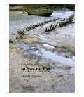 LA BELLEZA DE LO QUE NO HAY