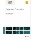 ESQUEMAS PROCESALES (7.ª EDICION) (ACTUALIZADOS A LA LEY DE MEDIDAS DE